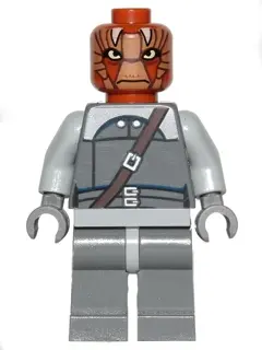 Nikto Guard