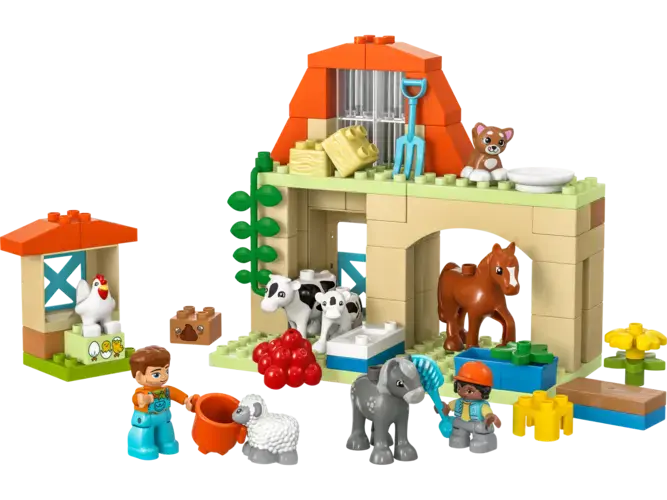 Caring for Animals at the Farm